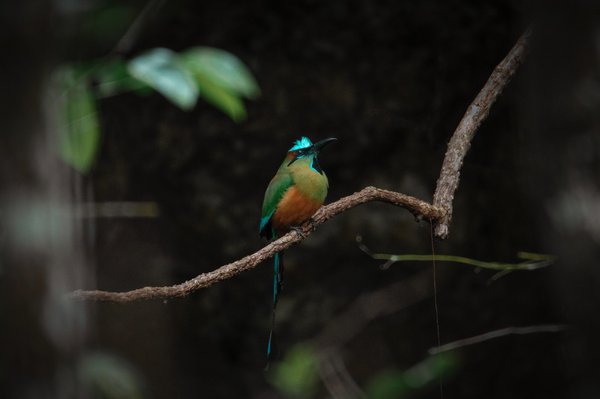 comment cultiver un climat de confiance et de transparence au sein de votre organisation