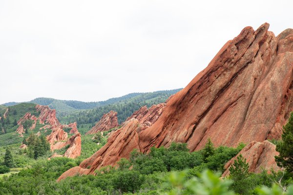 les formations les plus adaptées pour améliorer ses compétences en gestion du changement
